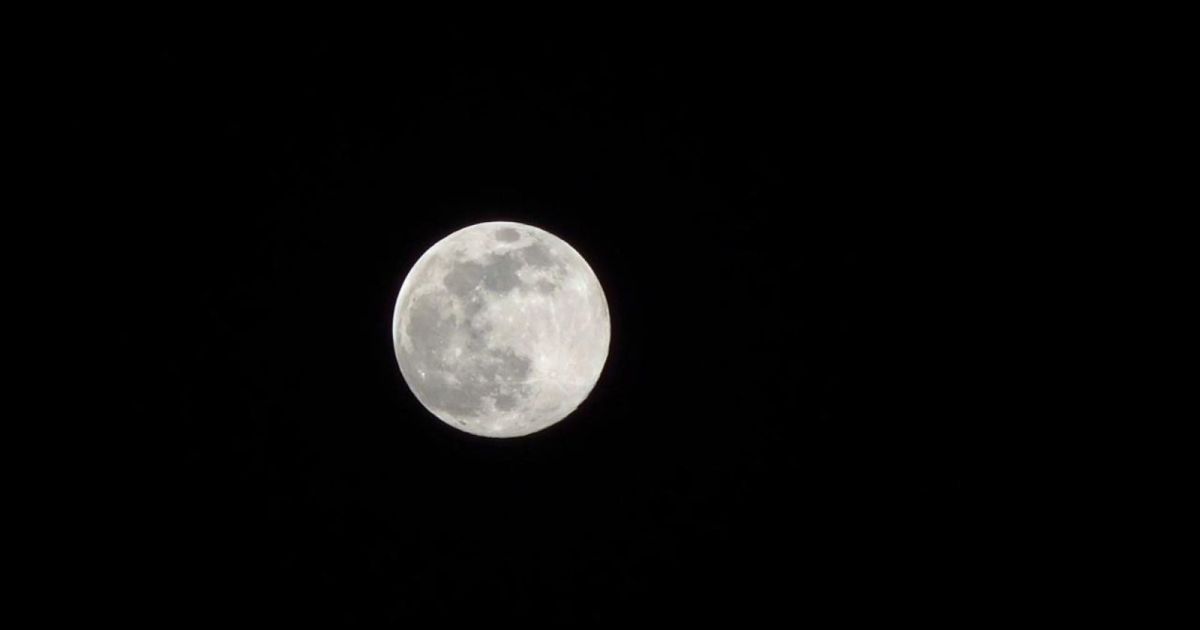 MOONLIGHT 29/7/26